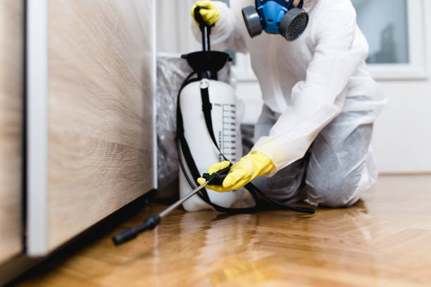 Best Commercial Pest Control Services  in Carbondale, IL
