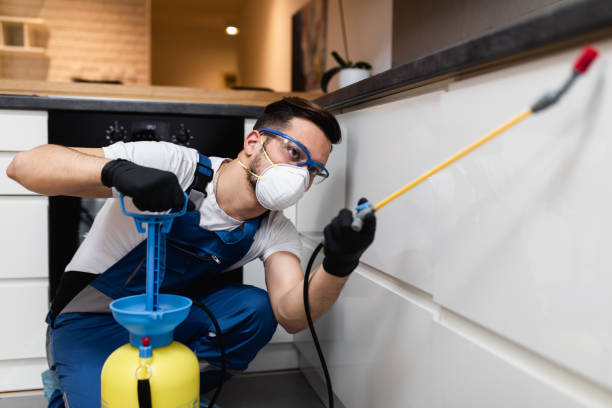 Best Wildlife Control Services  in Carbondale, IL
