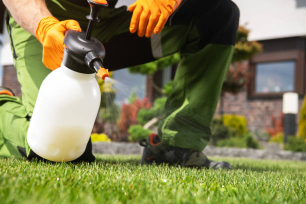 Best Pest Removal Services  in Carbondale, IL