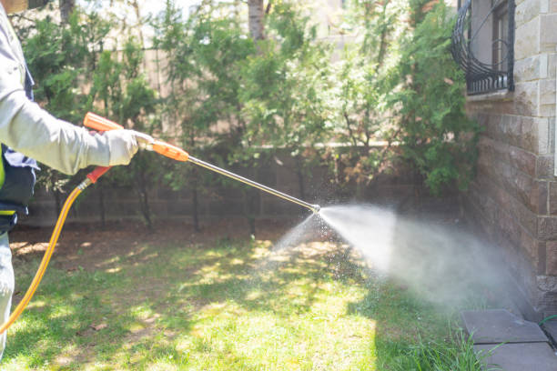 Trusted Carbondale, IL Pest Control Experts
