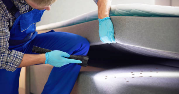 Best Mosquito Control Services  in Carbondale, IL