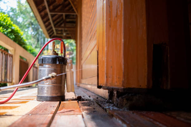 Best Exterminator Services  in Carbondale, IL