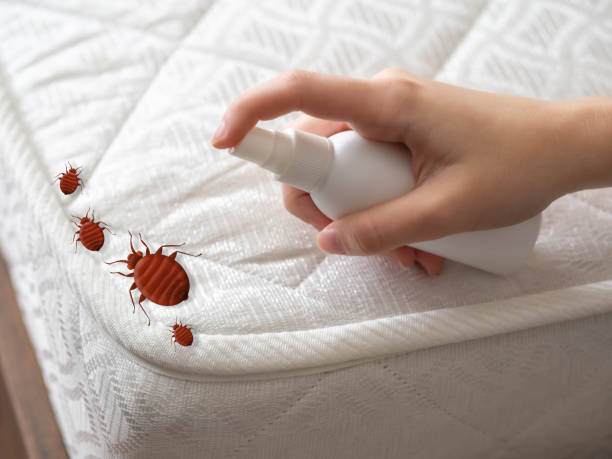 Best Mosquito Control Services  in Carbondale, IL