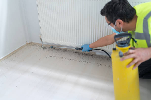 Best Pest Control Near Me in Carbondale, IL