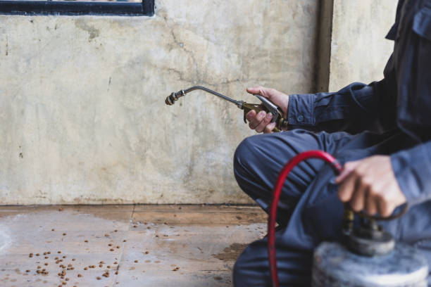 Best Pest Inspection Near Me  in Carbondale, IL