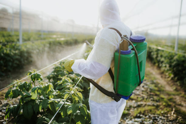 Best Affordable Exterminators  in Carbondale, IL